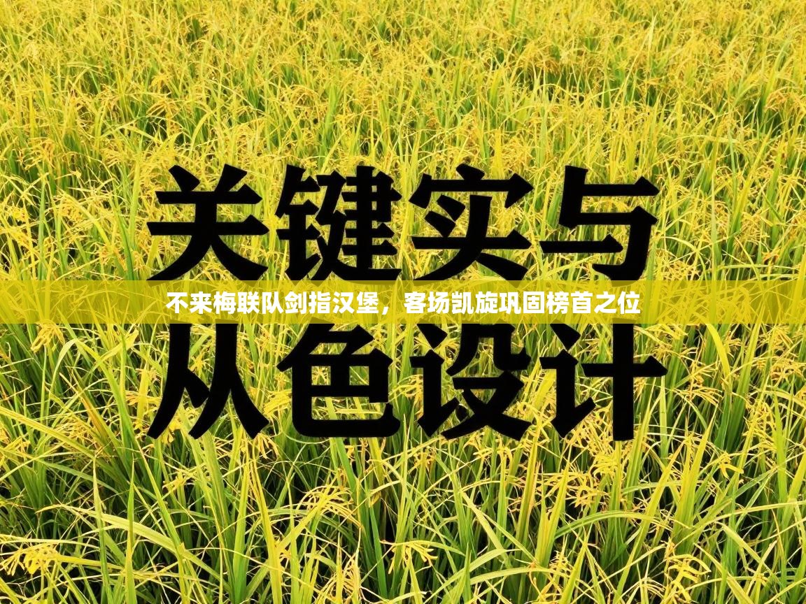 不来梅联队剑指汉堡，客场凯旋巩固榜首之位  第1张