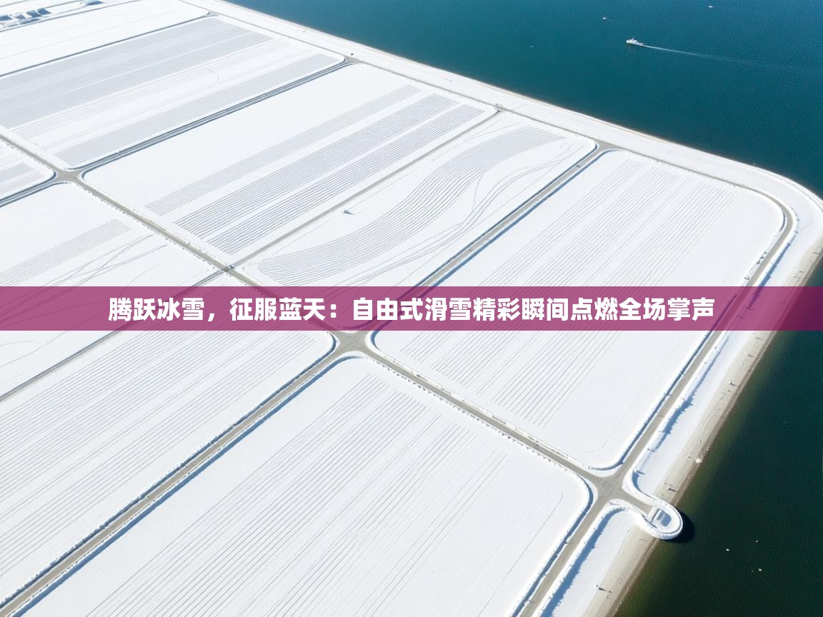 腾跃冰雪，征服蓝天：自由式滑雪精彩瞬间点燃全场掌声  第1张