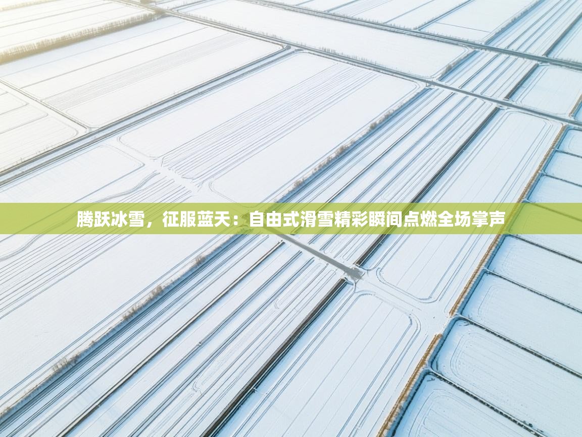 腾跃冰雪，征服蓝天：自由式滑雪精彩瞬间点燃全场掌声  第2张